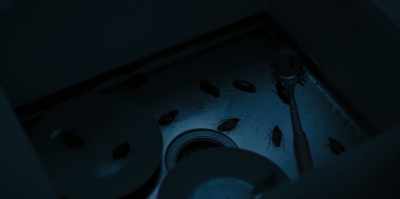 [fluttering, buzzing] - The Watchers