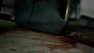 (FLY BUZZES) - Wallander