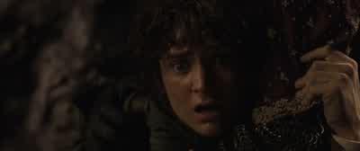 Fly, you fools. - The Lord of the Rings: The Two Towers