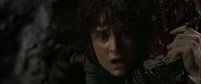 Fly you fools - The Lord of the Rings: The Fellowship of the Ring