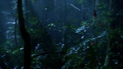 (FOLIAGE RUSTLING) - Grimm