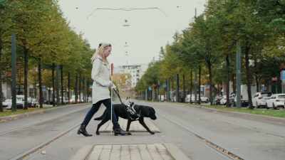 Folks have a lot to learn
from service dogs - Inside the Mind of a Dog