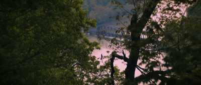 Folktales and lore were
absorbed and transmitted - The Mothman Legacy