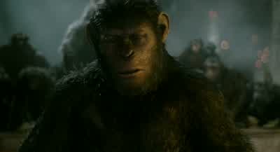 Follow Koba... - Dawn of the Planet of the Apes