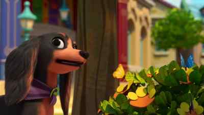 Follow me where I can see… - Pretzel and the Puppies