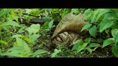 Follow my voice. - Pirates of the Caribbean: Dead Man's Chest