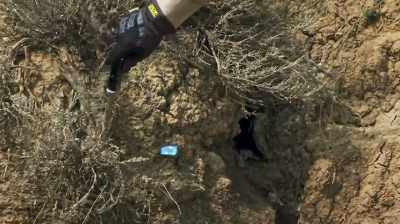 FOLLOW THAT UP AND HERE
IT IS RIGHT HERE, - Dino Hunters