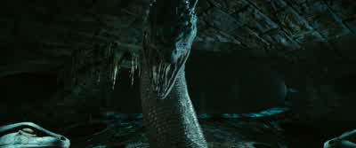 Follow the Chamberand you'll find Ron. - Harry Potter and the Chamber of Secrets