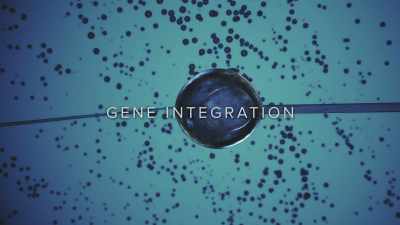 Following another abduction,
an embryo is implanted. - Extraordinary: The Seeding