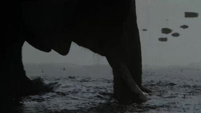 Following elephants through the night... - Earth at Night in Color