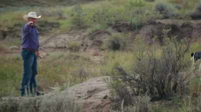 FOLLOWING THAT LAYER
FROM WHERE IT WAS, - Dino Hunters