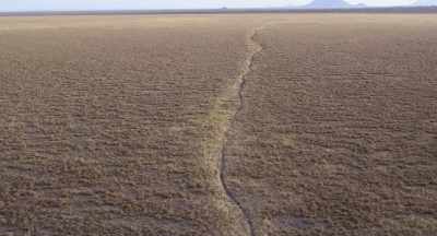 Following the same paths as the elephants. - The Elephant Queen