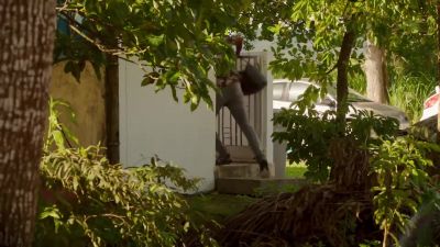 Hey! - Death in Paradise