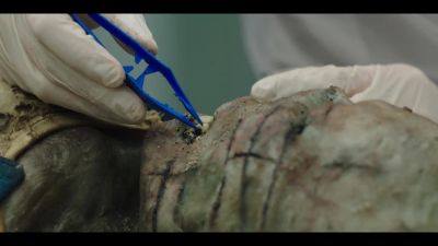 What is it? - Silent Witness