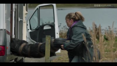 Come on, move. - Shetland
