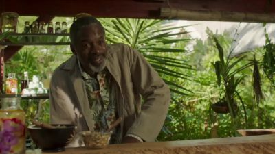 Berrowberry leaves. - Death in Paradise