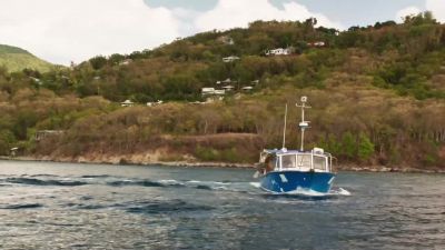 CLANKING - Death in Paradise
