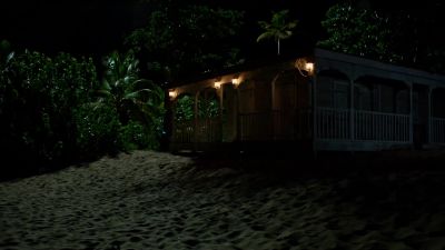 INSECTS CHIRP - Death in Paradise