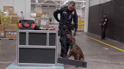 {\an1}LOPEZ: K9 alerted. - To Catch a Smuggler