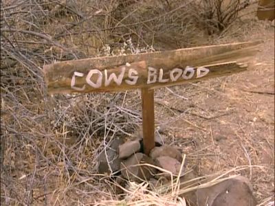 - Food provided by others. - Survivor