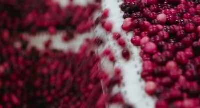 Food is so available
in this country and so cheap. - The Pollinators