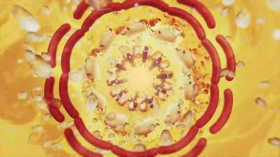 ♪ Foodtopia ♪ - Sausage Party: Foodtopia