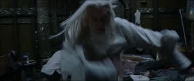 Fool of a Took - The Lord of the Rings: The Return of the King