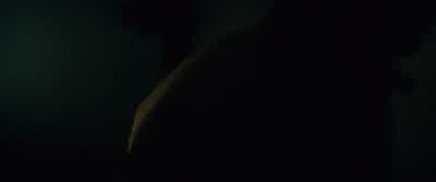 FOOLS ARE IN THERE! - Run All Night
