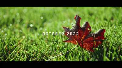 [football thwacking] - Football Must Go On