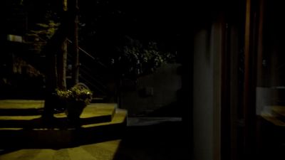 (footfalls passing) - Bosch