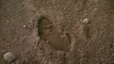 Footprints. Recently made, and alone. - Stargate SG-1