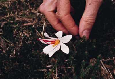 [Footsteps approach] - Enys Men