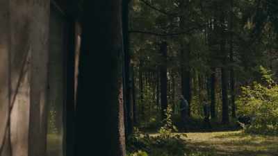 [FOOTSTEPS CRUNCH IN THE FOLIAGE] - Coroner