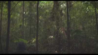 (footsteps crunching)
(crickets chirping) - Puzzle Box