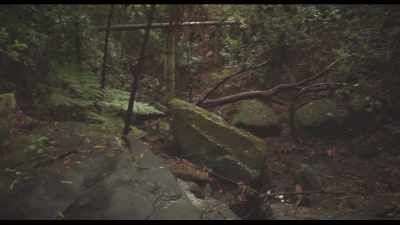 (footsteps crunching)
(crickets chirping) - Puzzle Box