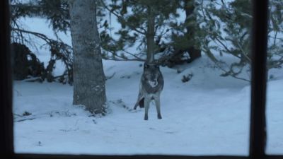 [footsteps]
[floor creaking] - Fargo