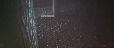 (footsteps rustling) - Disciples in the Moonlight