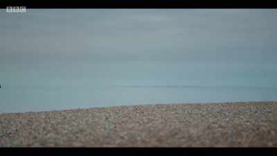 FOOTSTEPS - Baptiste
