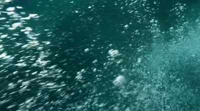 For 1,000 years, - Mysteries of the Deep