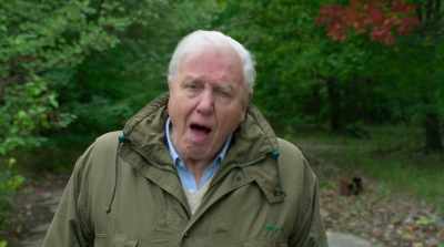 For a long time, I and perhaps you
have dreaded that future. - David Attenborough: A Life on Our Planet