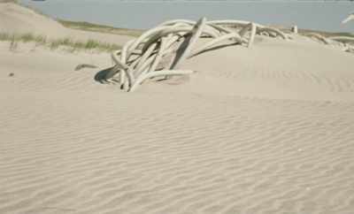 For a long time, to see
whether they melt, - Geographies of Solitude