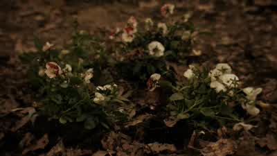 For a secluded forest, this place sure has a lot of foot traffic. - Gotham