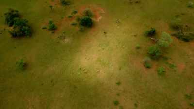 For a short while, there's plenty
of time to practise. - Serengeti