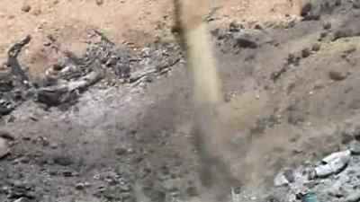 FOR A SNAKE THAT'S
SO AGGRESSIVE AND LETHAL, - Man vs. Wild