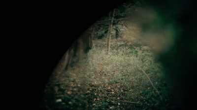-For a week, forensic teams - Britain’s Most Evil Killers