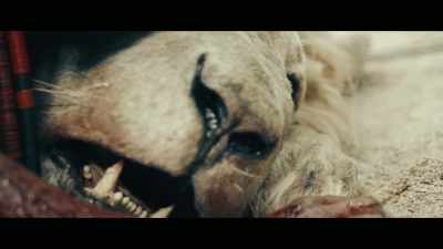  - For carpophorus, - Colosseum