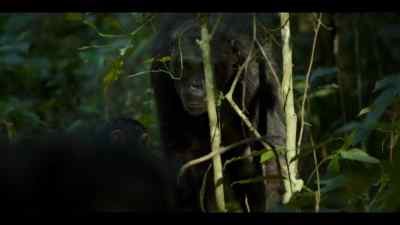 For Carson, the risk is too great. - Chimp Empire