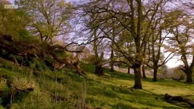 For centuries, this land
has been the territory - Wales: Land of the Wild