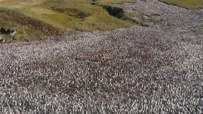 For this cheetah, rains will bring
a change of fortune. - A Year on Planet Earth