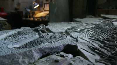 For Chris, this has been
a labor of love, - Attenborough and the Sea Dragon
